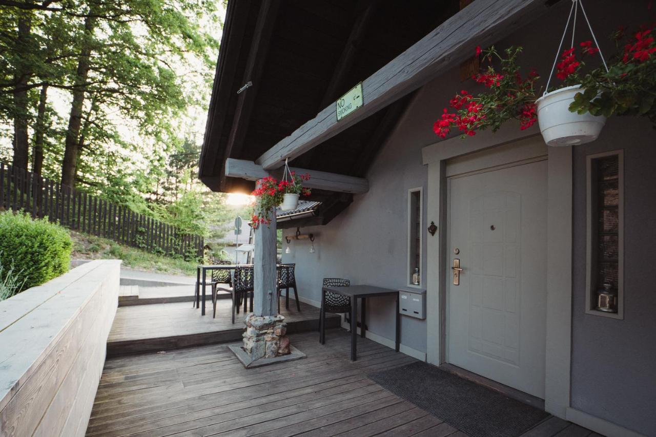 Bed and Breakfast Zielone Wzgorze Sulistrowiczki Экстерьер фото